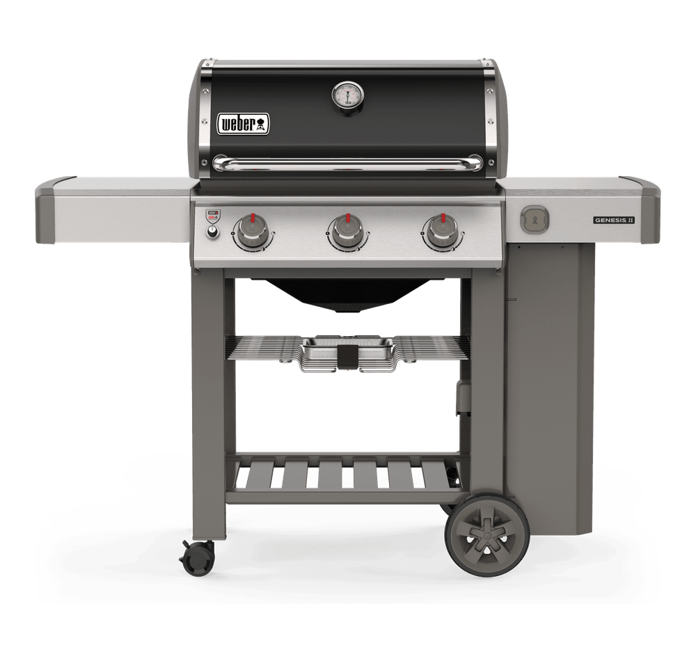 Genesis II E310 LP Black