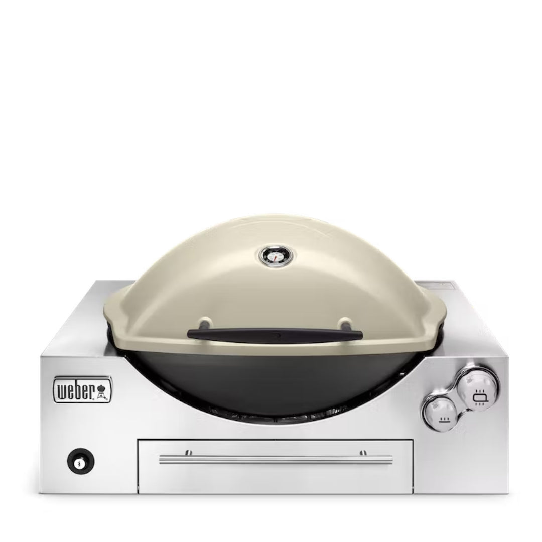 Weber Q3600 NG Titanium Built In