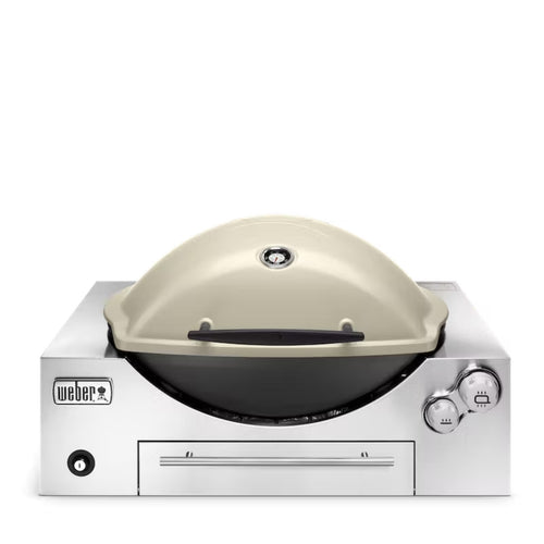 Weber Q3600 NG Titanium Built In