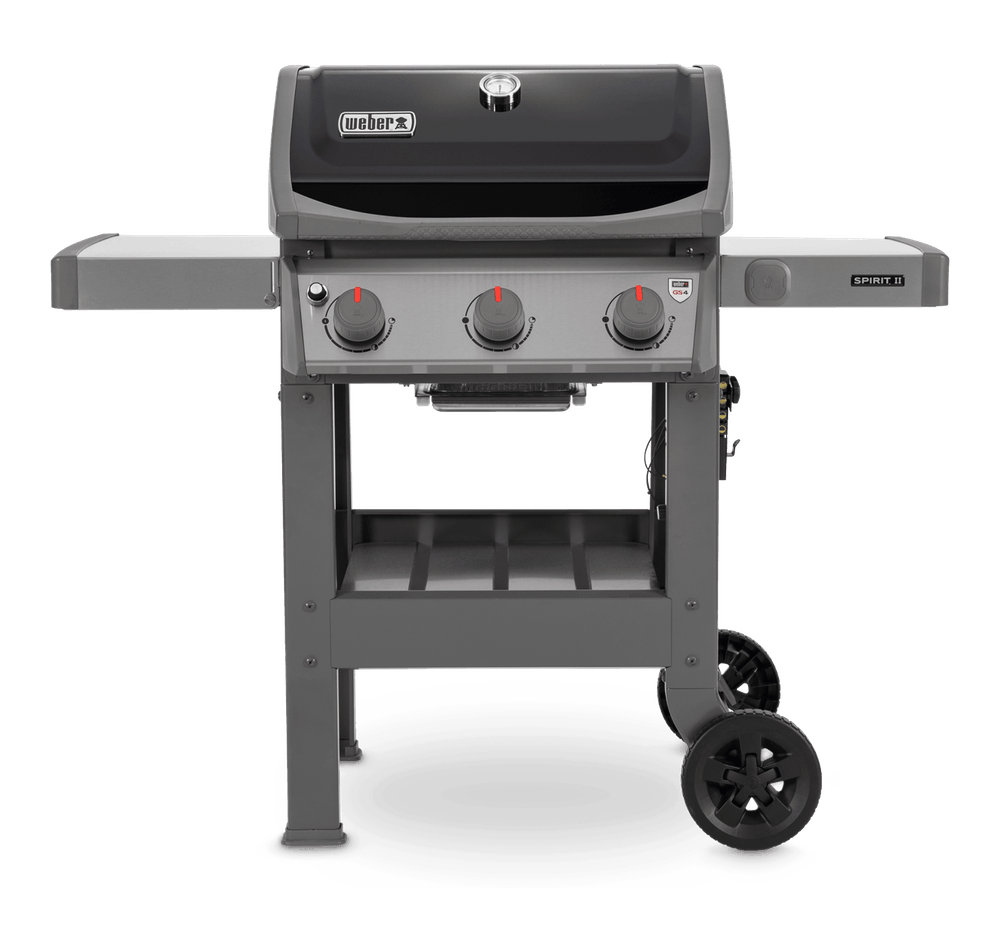 Spirit II E310 LP Black