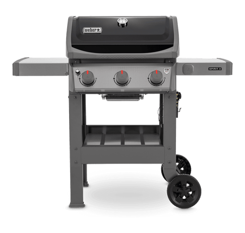 Spirit II E310 LP Black