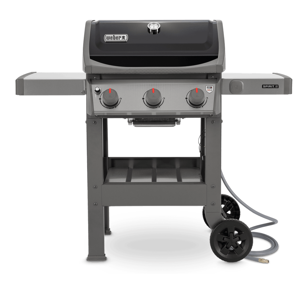 Spirit II E310 NG Black